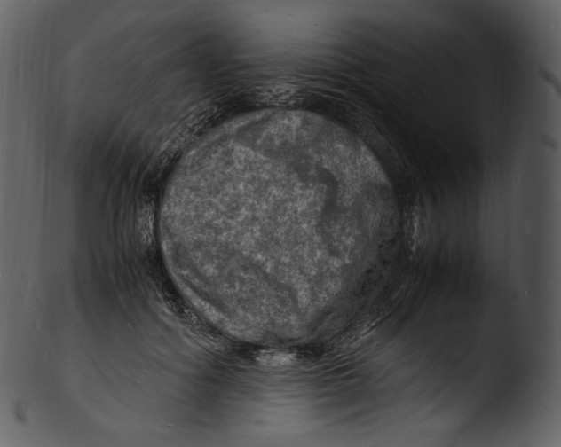 X0000103250602200809251353