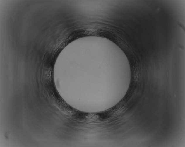 X0000103250603200809251353
