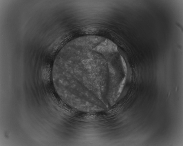 X0000103250604200809251353