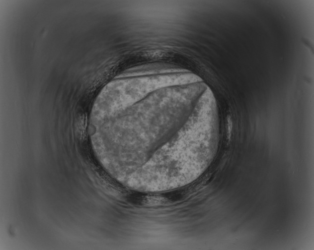X0000103250605200809251353