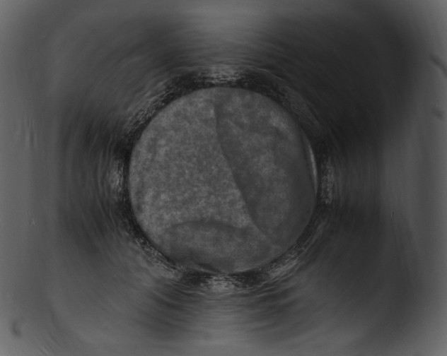 X0000103250608200809251353