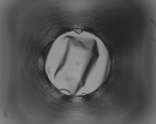X0000103250609200809251353
