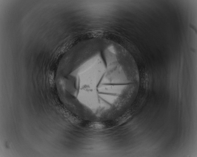X0000103250610200809251353