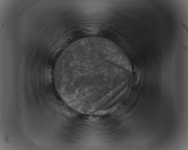 X0000103250612200809251353