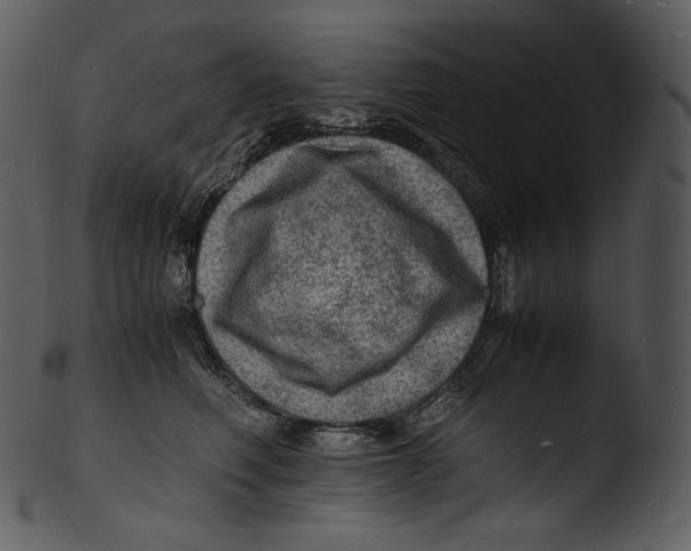 X0000103250614200809251353