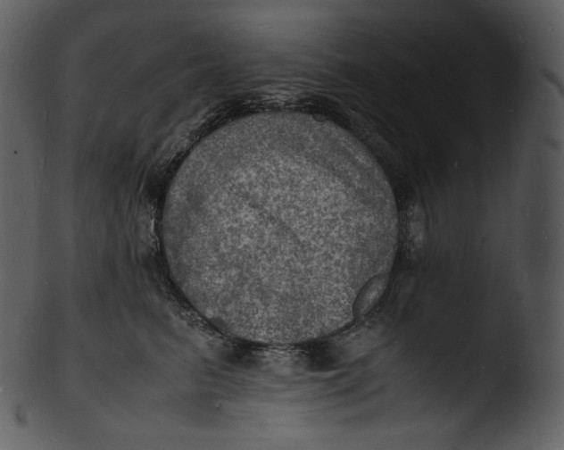 X0000103250615200809251353