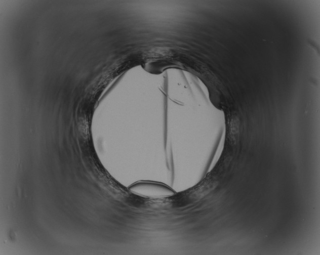 X0000103250617200809251353