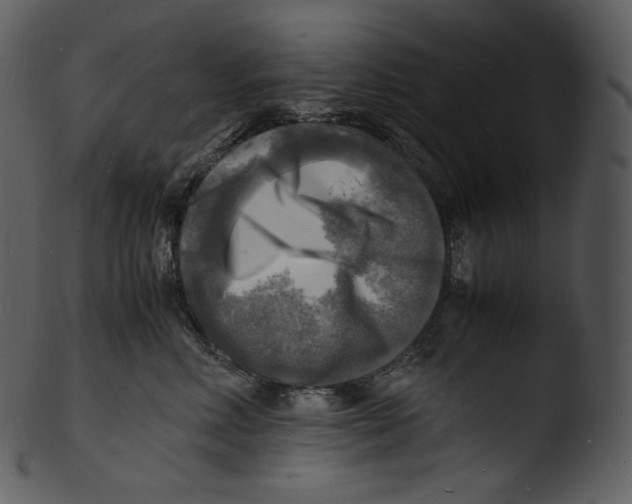 X0000103250618200809251353