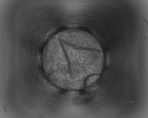 X0000103250619200809251352