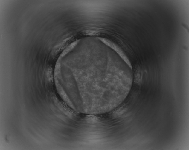 X0000103250620200809251352
