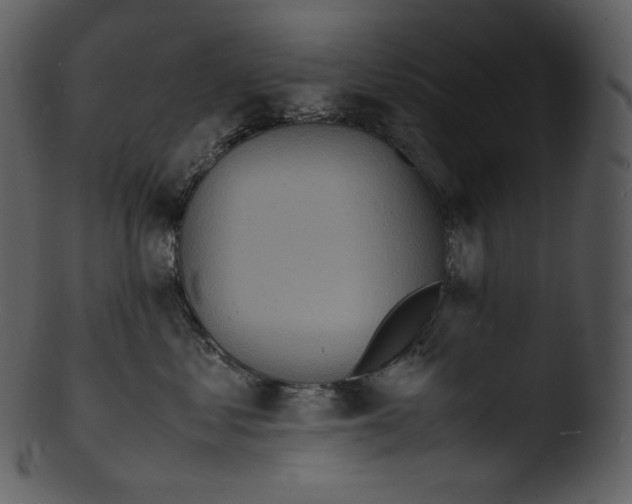X0000103250621200809251352