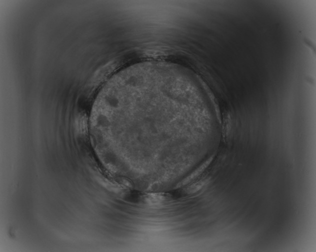 X0000103250623200809251352