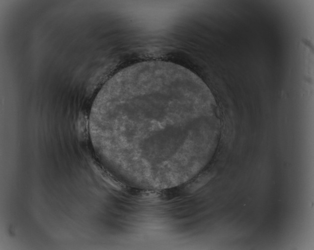 X0000103250624200809251352