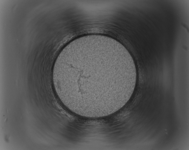 X0000103250625200809251352