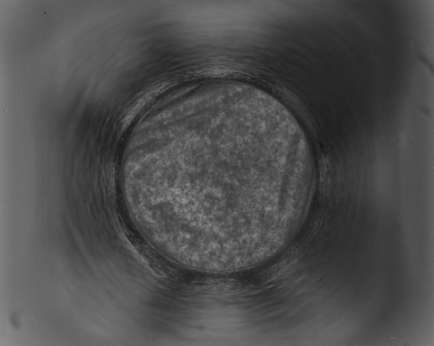 X0000103250626200809251352