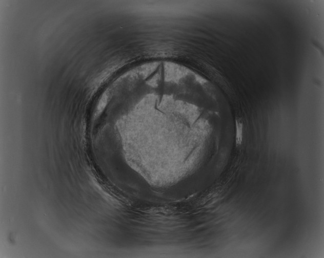 X0000103250627200809251352