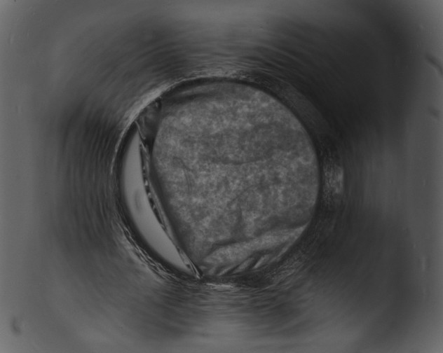 X0000103250628200809251352