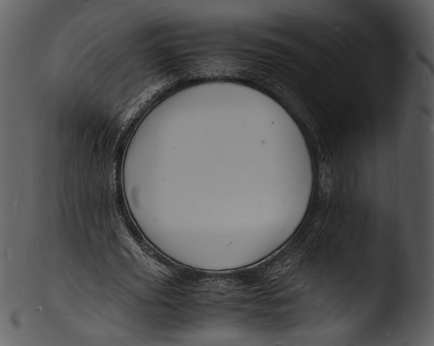 X0000103250629200809251352