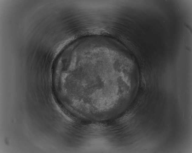 X0000103250630200809251352
