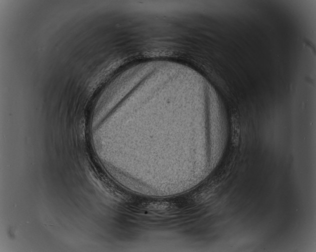 X0000103250631200809251352