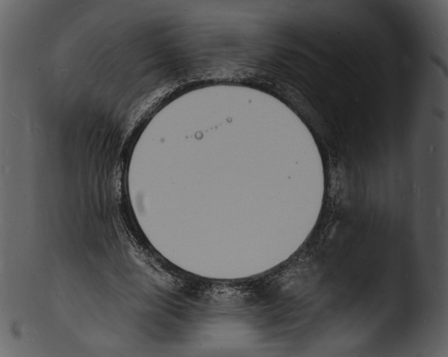 X0000103250632200809251352