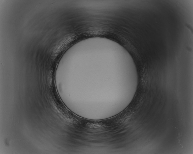 X0000103250635200809251352