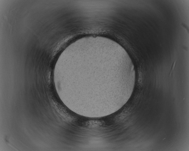 X0000103250636200809251352