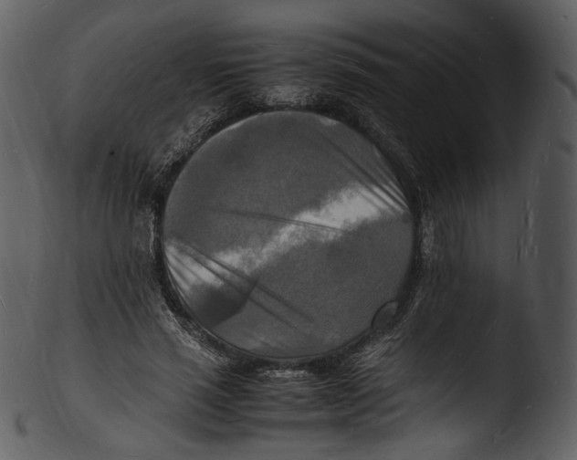 X0000103250637200809251352