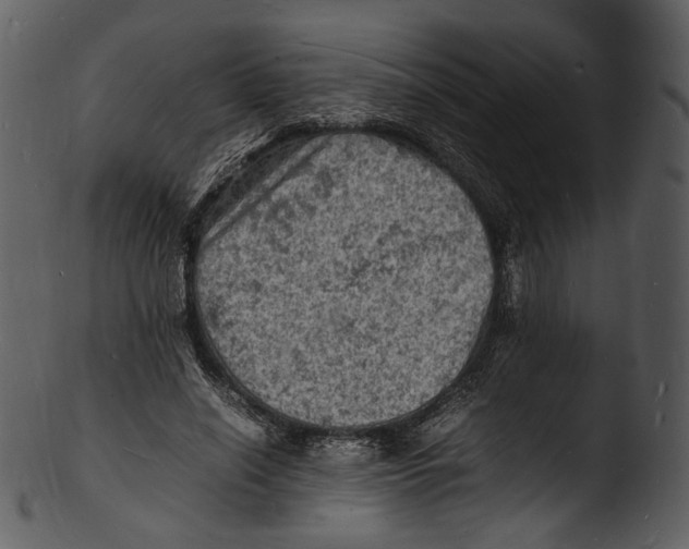 X0000103250638200809251352