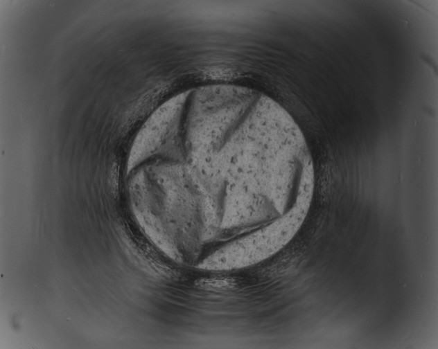 X0000103250639200809251352