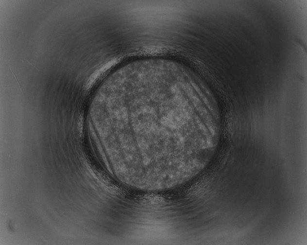 X0000103250640200809251352