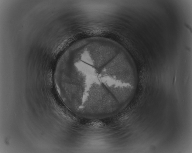 X0000103250642200809251352
