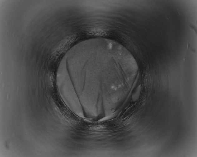 X0000103250643200809251352
