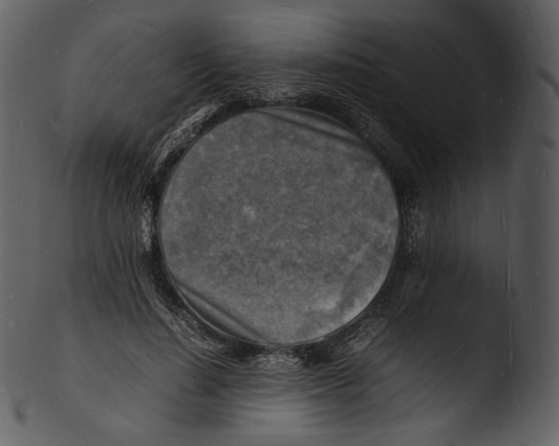 X0000103250644200809251352