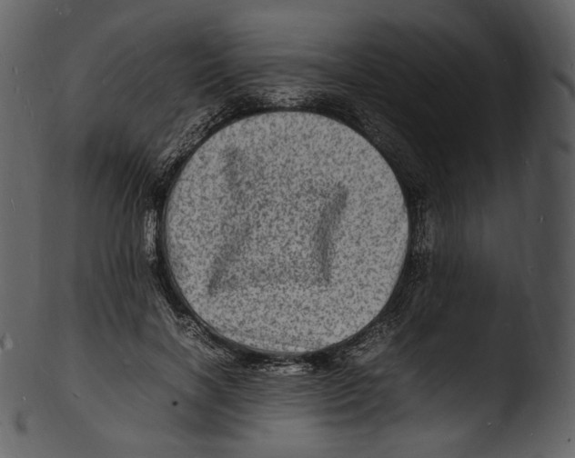 X0000103250646200809251352
