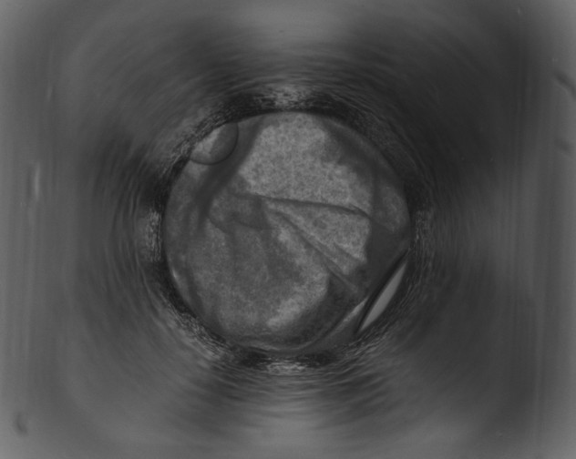 X0000103250650200809251352