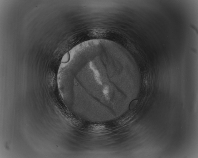 X0000103250651200809251352