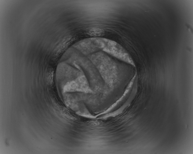 X0000103250652200809251352