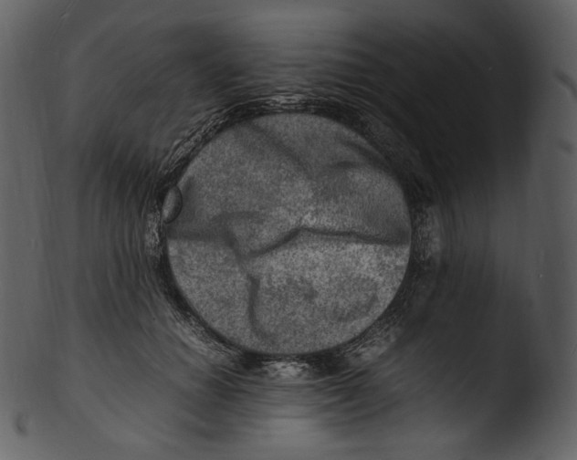 X0000103250654200809251352