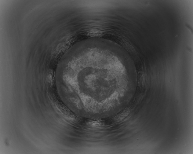 X0000103250655200809251352