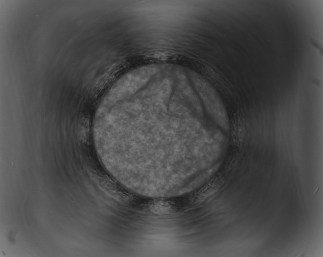X0000103250656200809251352