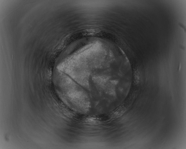 X0000103250657200809251352