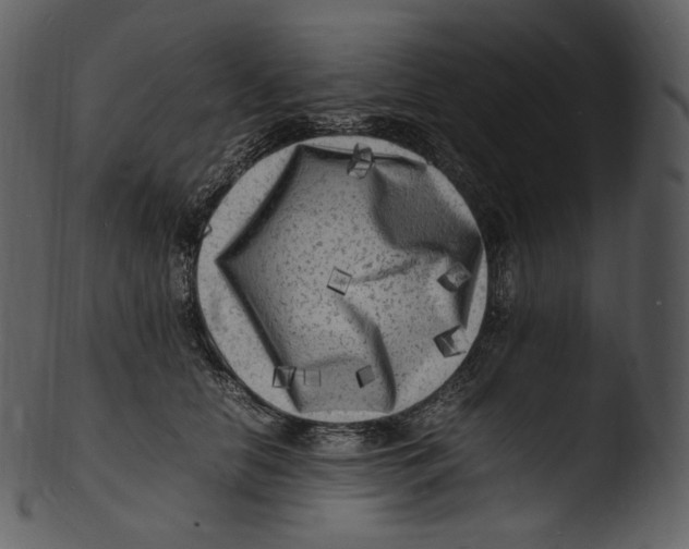 X0000103250658200809251352