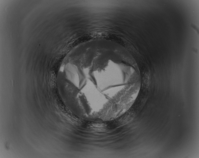 X0000103250659200809251352