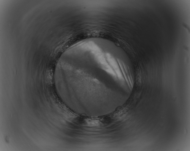 X0000103250661200809251352