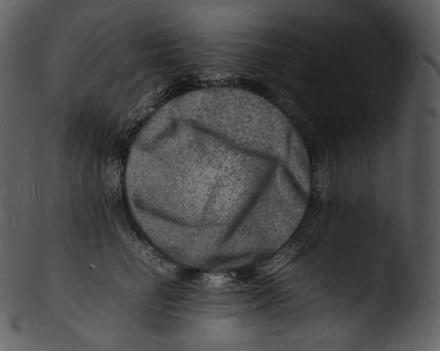X0000103250662200809251352