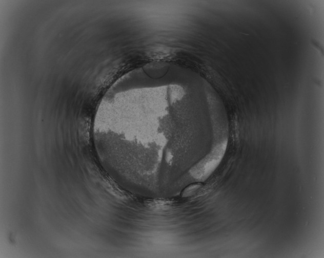 X0000103250664200809251352