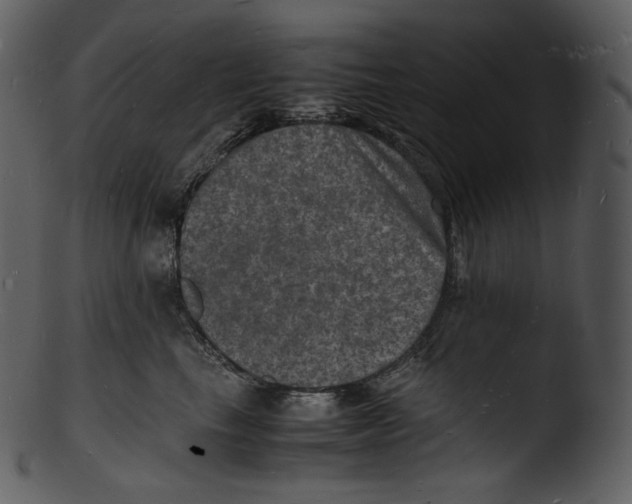 X0000103250665200809251352