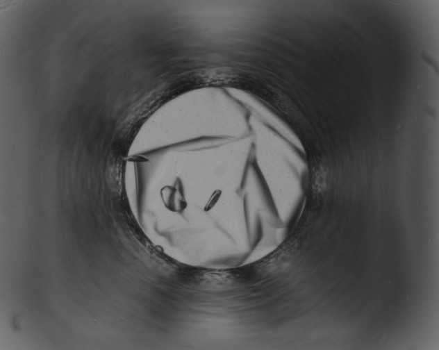 X0000103250666200809251352