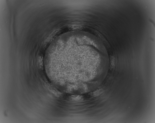 X0000103250667200809251352